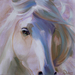 horseymorgan avatar