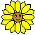 sunflowervlg avatar