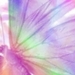 ButterflyAmy avatar