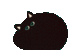 ronincats avatar