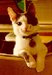 KittyQuilter avatar