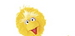 BigBird avatar