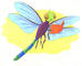 ladykat avatar
