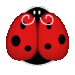 claydybug avatar