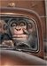 trucker-monkey avatar