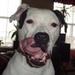 normnmiles avatar