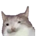 remmy avatar