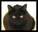kitkat222 avatar