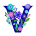 VolunteerVal avatar