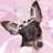 lizannew avatar