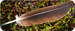 fivemillionbooks avatar