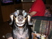 rfbocritter avatar