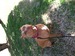 fred9839 avatar