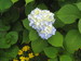 blackbird628 avatar