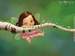 Faerydust1023 avatar