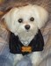 luvmykids367 avatar
