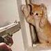 cathandcuffs avatar