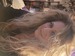 catsrus59 avatar