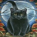 spookiemagic avatar