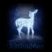 kittisiubhan avatar