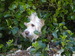 rowereader avatar