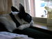bayreader avatar