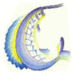 crawley avatar