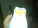 penguincollector avatar