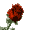 beadsandbooks avatar