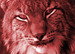 bigredlynx avatar