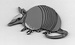 armadillogal