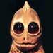 hallucination avatar