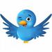 jconn92534 avatar