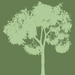 gbirds avatar