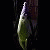 mazzelsha avatar