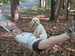 ocdbooklover avatar