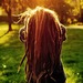 ecodelight avatar