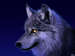 UrbanWolf avatar