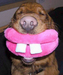 julieyet avatar