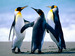 weekendreader avatar