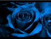 marleen avatar