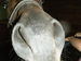 teapbsat avatar