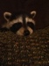 hollowaysm avatar