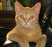 snoozy avatar