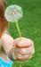 petuniabodacious avatar