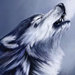 shywolf4 avatar