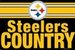 steelerfaninpa avatar