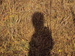 beatea avatar