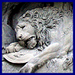roundelais avatar