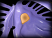 rolacoy avatar